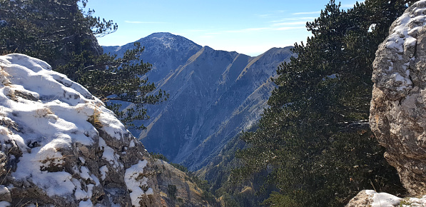 Central California's High Sierra Range.\nYosemite National Park/NE Edge.\nHumboldt-Toiyabe N.F. \nHoover Wilderness.