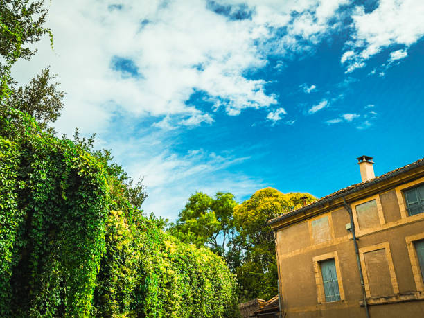 Uzes: A Hidden Gem of French Architecture and History