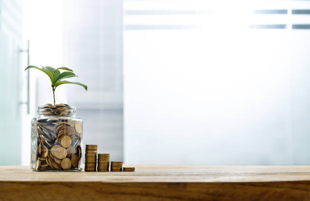 istock Green plant growing from the coins jar 2080343623
