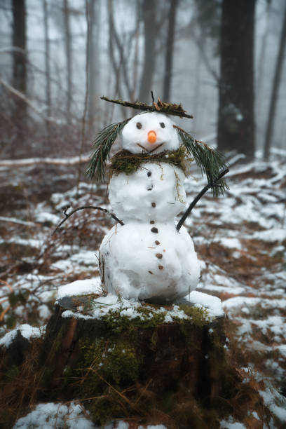 istock Snowman on a tree stump with carrot, buttons, branches, pine needles as hair 2080349403