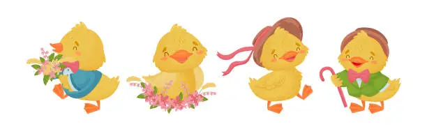 Vector illustration of Cute Yellow Duckling with Wing and Feathers Vector Set