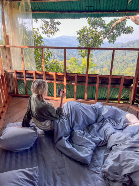 istock One woman enjoying nature from a bed in a tree house 2080457032