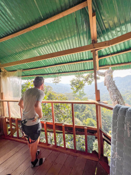 istock One man contemplates nature from a tree house 2080457544