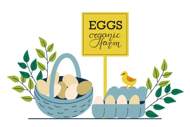 Vector illustration of Fresh eggs from the organic farm. Basket and carton box with eggs. Poultry farm food products