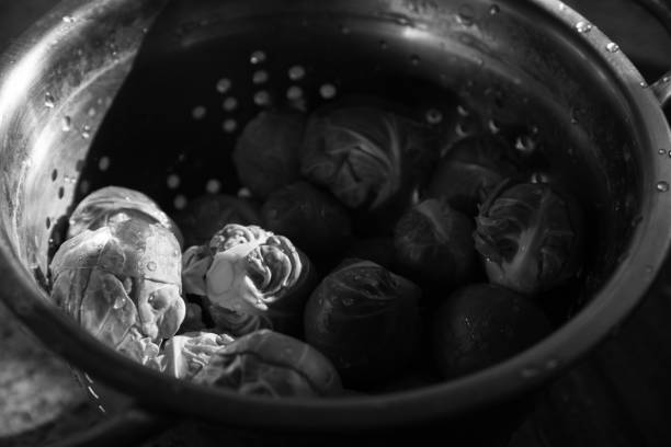 Fresh clean uncooked green Brussels sprouts in old metal colander with water drops. Selective focus. Real candid kitchen lifestyle background. Black white photography