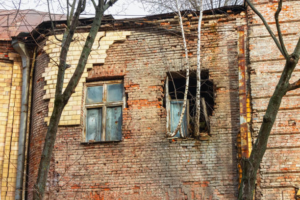 Brick wall Facade of an old building with a tree growing from the window. Abandoned building