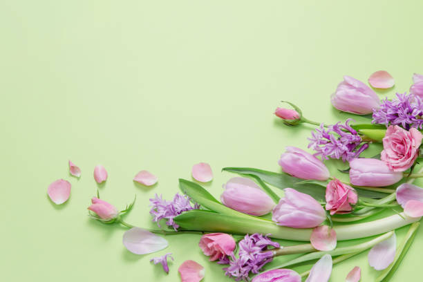 istock spring flowers on green paper background 2080536732
