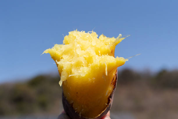 delicious baked sweet potato