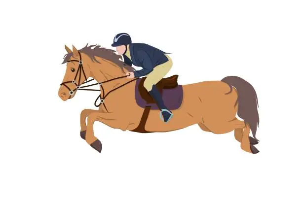 Vector illustration of vector illustration of a jockey on a horse in a high jump. The theme of equestrian sports, training and animal husbandry. Isolated on a white background