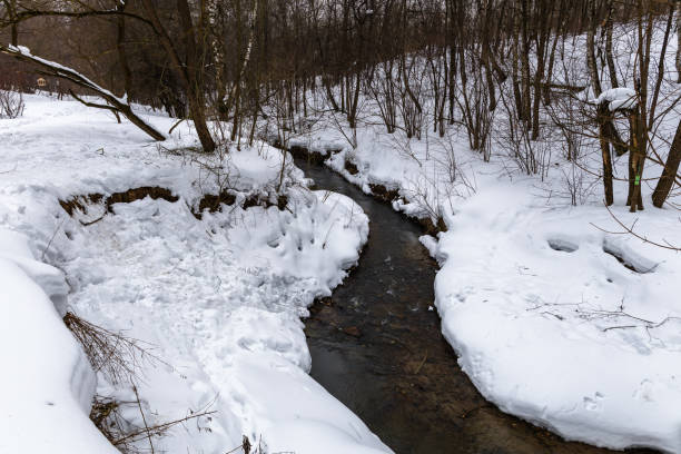 Water in a forest creek on a snowy wInter day with icy tree branches, Evansville, IN