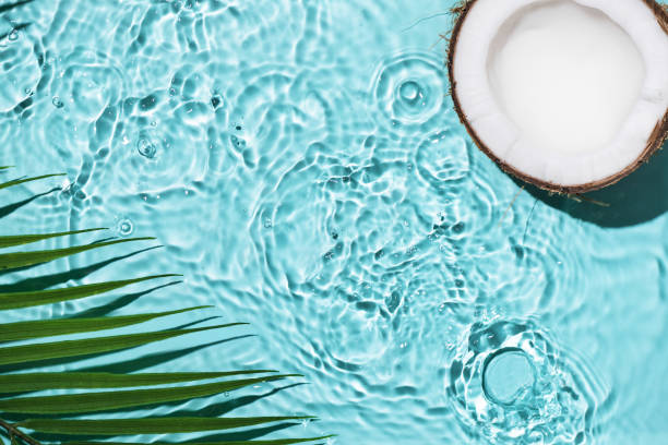istock Summer background with coconuts on water background with water splashes. 2080608023