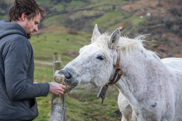 A middle aged man feeding a white horse through a fence in the countryside.