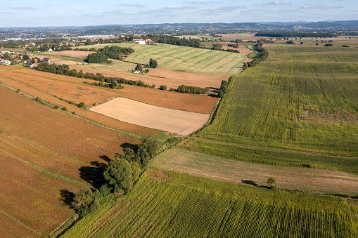 Aerial view of an idyllic summer landscape with brown and green agricultural fields and a village.