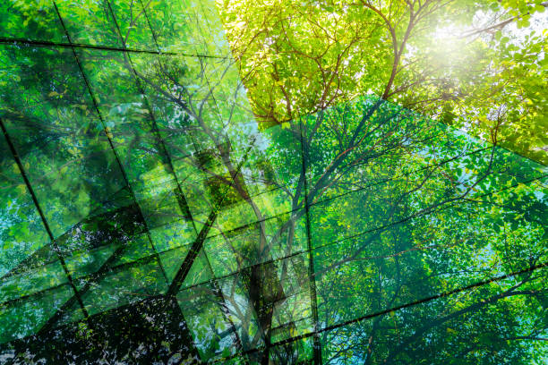 istock Go Green – Sustainable Resources – Green Building 2080639467