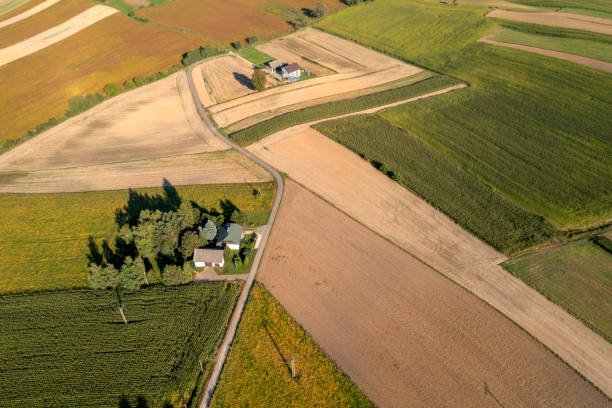 An idyllic summer landscape with brown and green agricultural fields a farmhouse seen from above.
