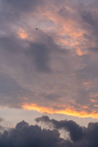 istock Beautiful sunset sky. Clouds at sunset. A small plane flies in the dark sky 2080646805