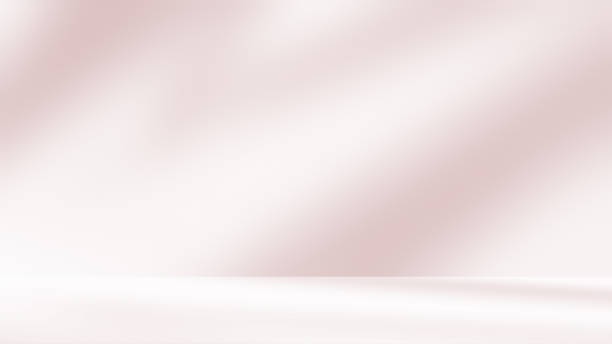 istock Empty brownish pink room studio with shadow of leaves overlay effect sunlight. 2080654426