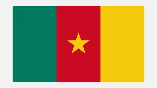 Vector illustration of CAMEROON Flag with Original color