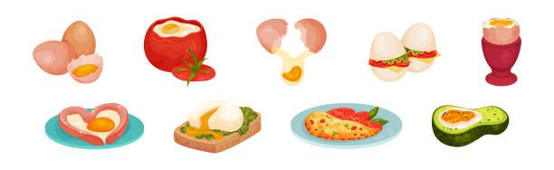 Raw Egg and Cooked in Tomato, Avocado and Omelette Vector Set Raw Egg and Cooked in Tomato, Avocado and Omelette Vector Set. Food and Rich of Protein Nutrition Concept omelette on the plate stock illustrations
