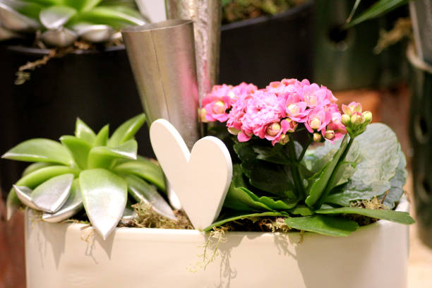 istock A beautiful valentine flower arrangement 2080662090