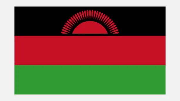 Vector illustration of MALAWI Flag with Original color