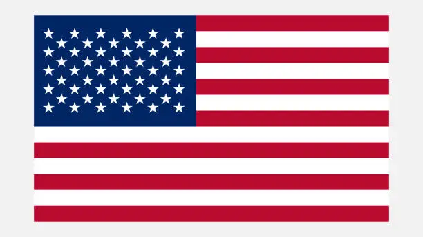 Vector illustration of USA Flag with Original color