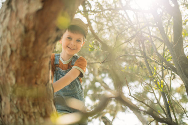 istock Cute little boy enjoying springtime or summer outdoors and climbing a tree in a park 2080671466