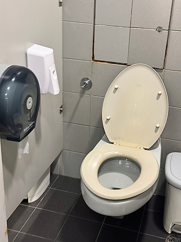 Stock photo showing elevated view of a public toilet cubicle with a toilet besides wall mounted, cylinder toilet paper dispenser.
