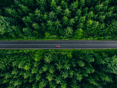 Aerial view of car with a roof rack on a country road and green woods in summer Finland
