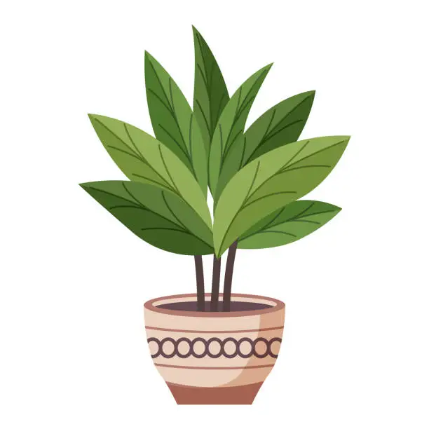 Vector illustration of Green plant in a beige pot