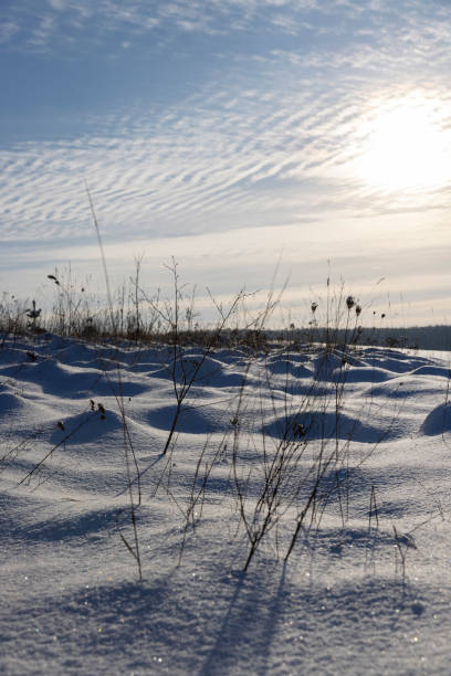 istock freshly fallen white cold snow in nature 2080733774