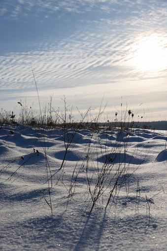 snowdrifts after a snowfall in winter, freshly fallen white cold snow in nature