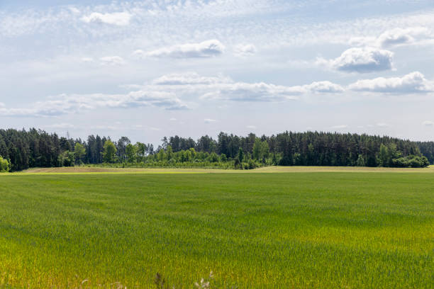 istock cereal growing business in eastern europe 2080733835