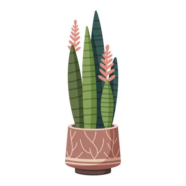 Vector illustration of Plant with long leaves in a brown pot