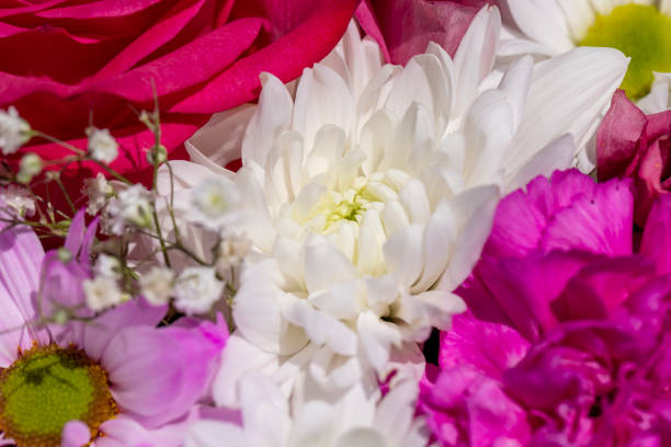 a beautiful bouquet combined with different flowers, a festive bouquet of flowers with different types of flowers