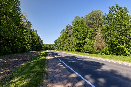 paved road for cars in summer, highway in the forest in the summer season