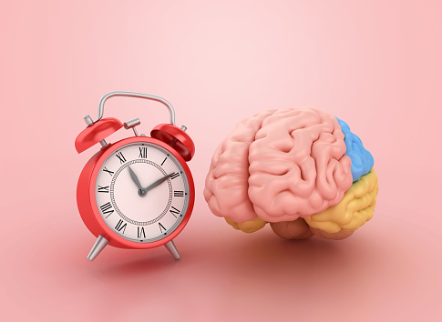 Brain with Alarm Clock - Color Background - 3D rendering