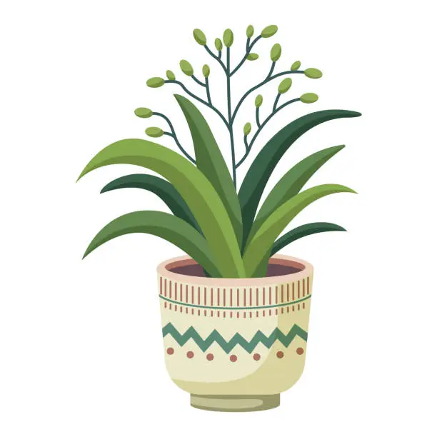 Vector illustration of Plant with small green buds in a pot
