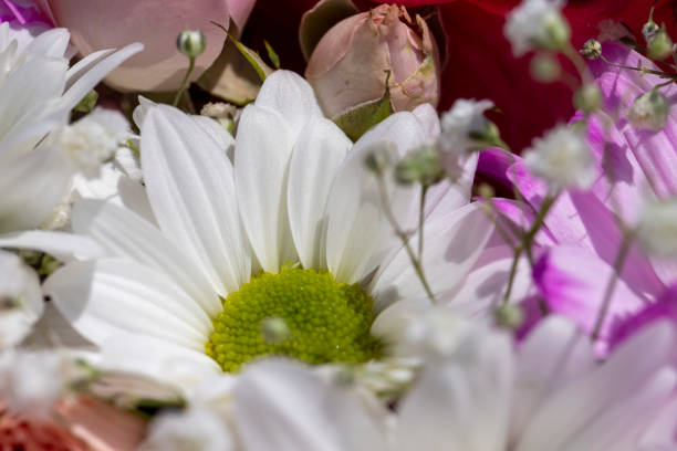 istock a beautiful bouquet combined with different flowers 2080734394