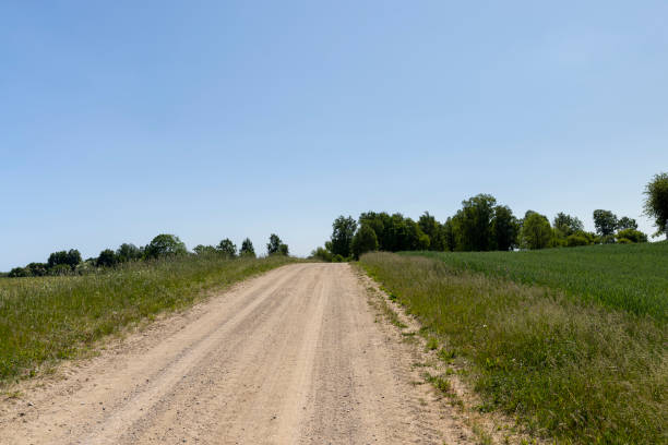istock a road in a field with agricultural plants in summer 2080736039
