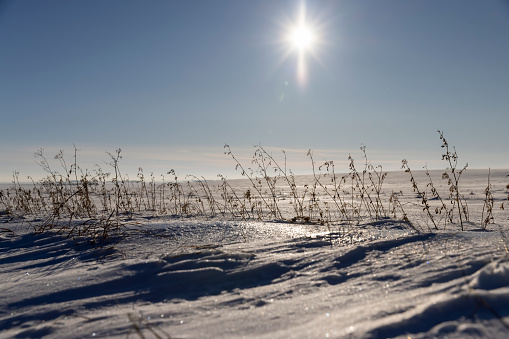 drifts of white pure snow after a snowfall, beautiful white snow in the field in winter in sunny weather