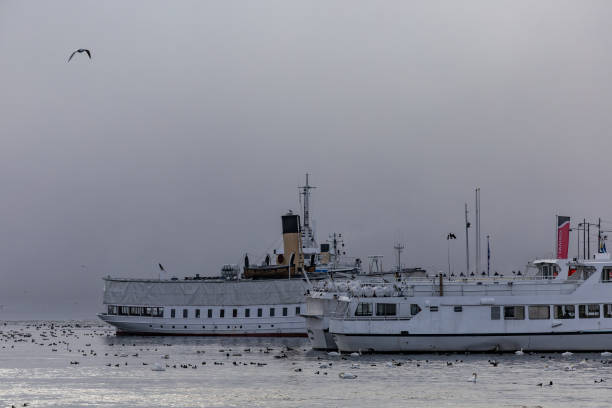 Finland Harbour Frozen Sea