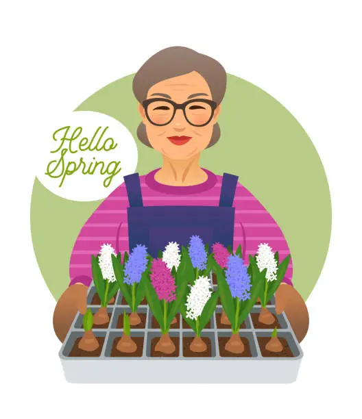 Vector illustration of Senior woman gardener