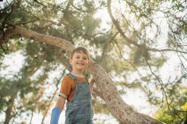 Cute little boy enjoying springtime or summer outdoors and climbing a tree in a park
