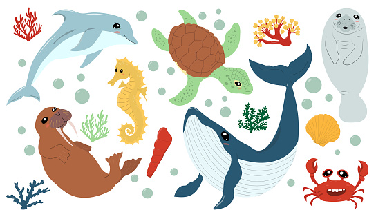 Turtle, whale, dolphin, walrus, manatee, seahorse, coral, shellfish. Cartoon underwater world.