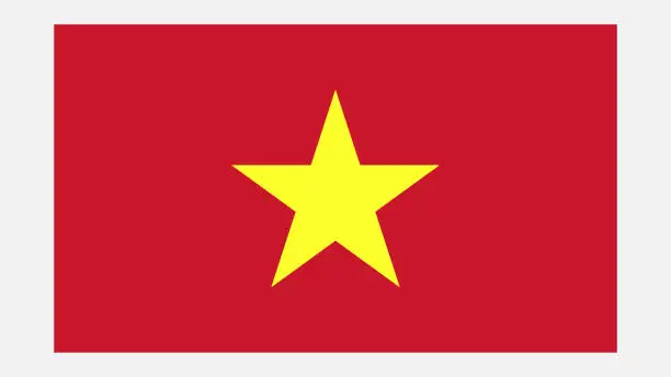 Vector illustration of VIETNAM Flag with Original color