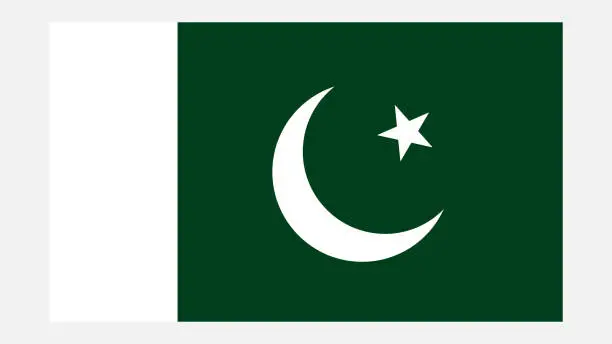 Vector illustration of PAKISTAN Flag with Original color