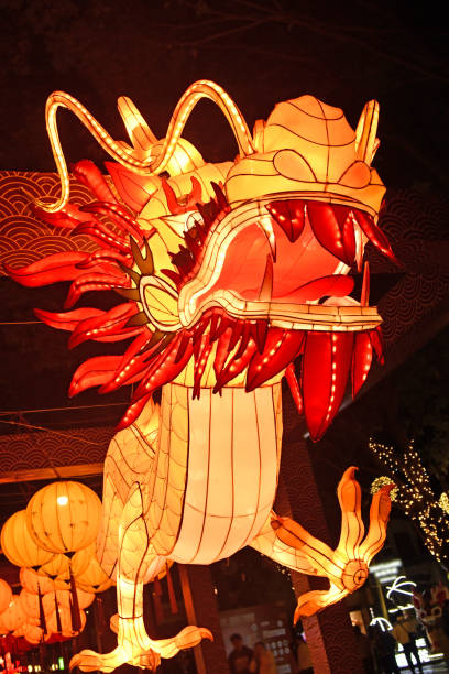 istock Chinese dragon latern celebrating spring  festival 2080807570
