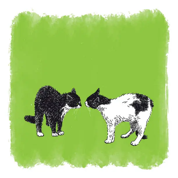 Vector illustration of Cats Before Fighting on Green Background