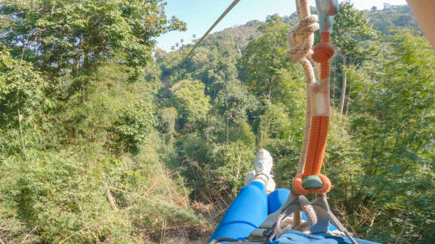 durch die baumwipfel: das pov-zip-lining-abenteuer einer frau im regenwald von laos - ziplining zip line outdoors zip lining stock-fotos und bilder